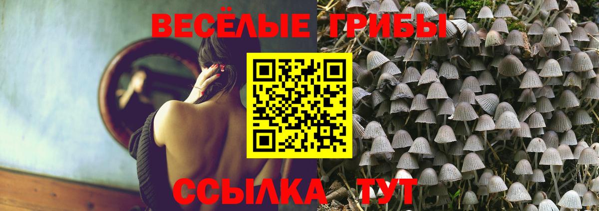 Псилоцибиновые грибы прущие грибы  Вход с VPN  Ачинск  Псилоцибиновые грибы Cubensis 