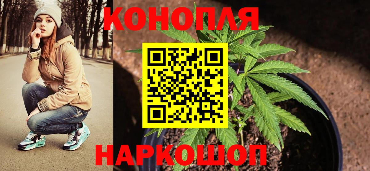 МАРИХУАНА план Ачинск